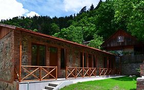 Guest House on Erekle